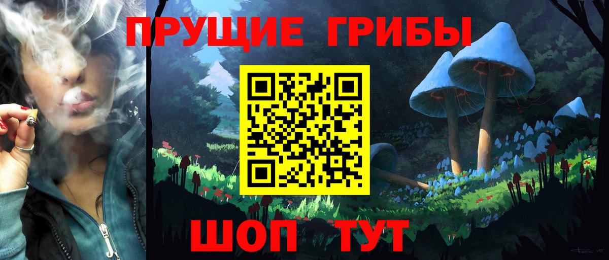 Псилоцибиновые грибы Psilocybe Кольчугино
