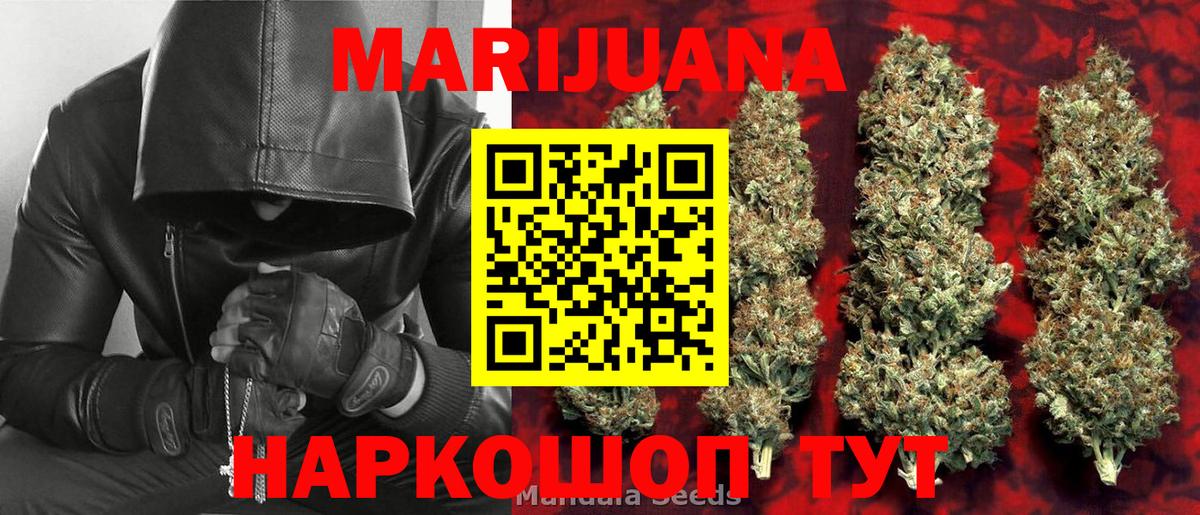Канабис семена Кольчугино